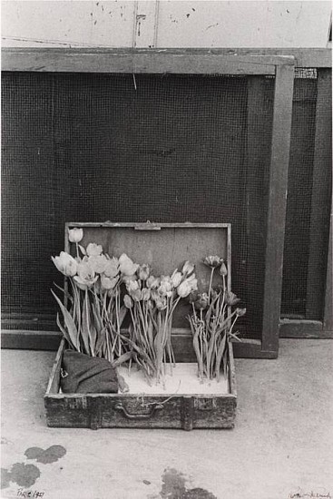 Robert Frank
Suitcase of Tulips, 1950
Gelatin silver print (black & white)
15 7/8 x 11 7/8 in. (40.3 x 30.2 cm)