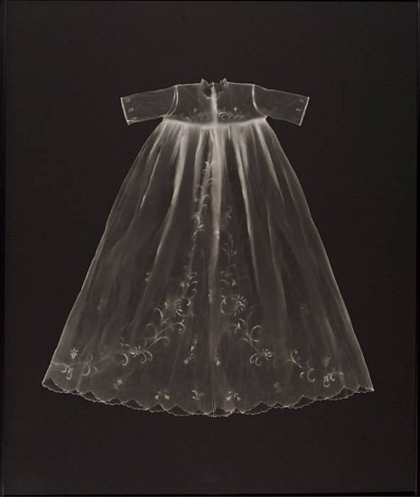 Adam Fuss
Untitled (From the Series "My Ghost"), 1999
Photogram
51 3/8 x 43 1/4 in. (132.1 x 109.9 cm)
Unique photogramPrinted by the photographer
