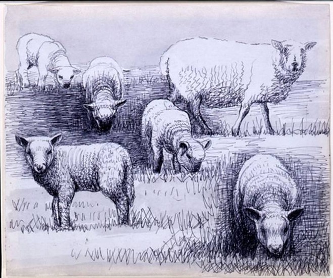 Henry Moore
Sheep Drawing 23, 1972
Pen
8 1/4 x 9 7/8 in. (21 x 25.1 cm)
Blue black ballpoint and pale gray wash