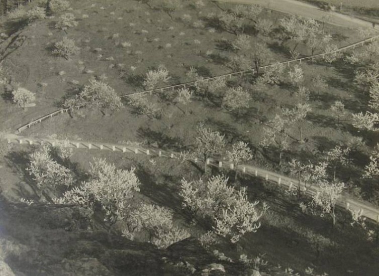 Josef Sudek
Jarni krajina (Spring Landscape), 1940
Gelatin silver print (black & white)
3 7/8 x 5 7/8 in. (10 x 15 cm)
From a portfolio of 10 prints titled " Moderni Ceska Fotografie" (Modern Czech Photography)