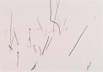 Photography: Harry Callahan