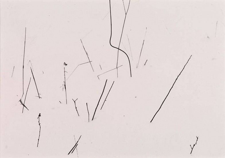 Harry Callahan
Grasses in Snow, Detroit, 1943
Gelatin silver print (black & white)
9 1/8 x 13 1/8 in. (23.2 x 33.3 cm)
Vintage image mounted to masonite board