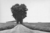 Henri Cartier-Bresson, Brie, France, 1968
1968; Printed 1990s, Gelatin silver print (black & white)