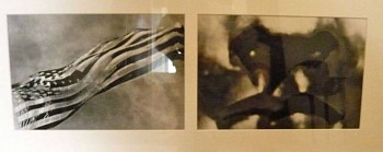 Jeff Cowen - Untitled