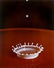 Harold Edgerton, Milk Drop Coronet
1957, Chromogenic print (color)