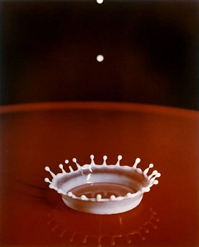 Harold Edgerton - Milk Drop Coronet