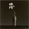 Robert Mapplethorpe, Orchid
1988, Gelatin silver print (black & white)