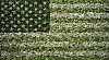 Vik Muniz, American Flag (from the portfolio America: Now + Here)
2009, Digital C-print