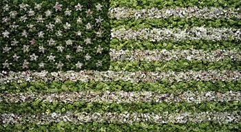 Vik Muniz - American Flag (from the portfolio America: Now + Here)