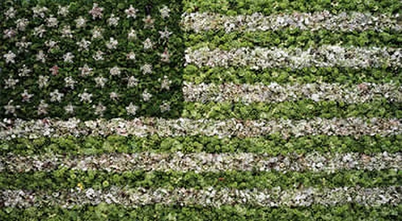 Vik Muniz
American Flag (from the portfolio America: Now + Here), 2009
Digital C-print
12 1/8 x 22 in. (30.8 x 55.9 cm)
Edition 32/100 + 10HCs
