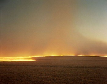 Richard Misrach - Desert Fire #249