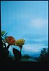 Marina Rosenfeld, Untitled (The Garden) II
1997-98, Chromogenic print (color)