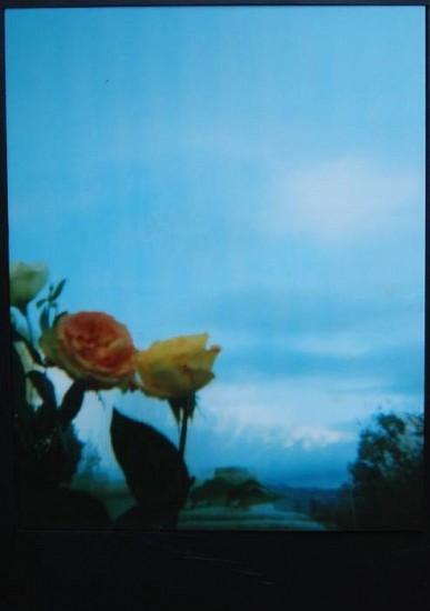 Marina Rosenfeld
Untitled (The Garden) II, 1997-98
Chromogenic print (color)
20 x 16 in. (50.8 x 40.6 cm)
Lenticular photograph #2 of 3
