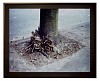 Jeff Wall, Clipped Branches, East Cordova St., Vancouver
1999, Cibachrome transparency