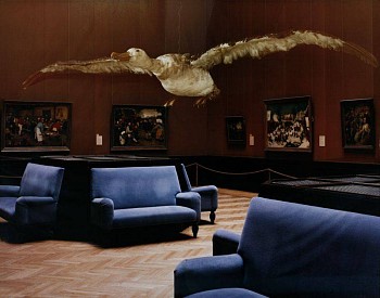 Margret Weber-Unger - The Day After Tomorrow - Albatross