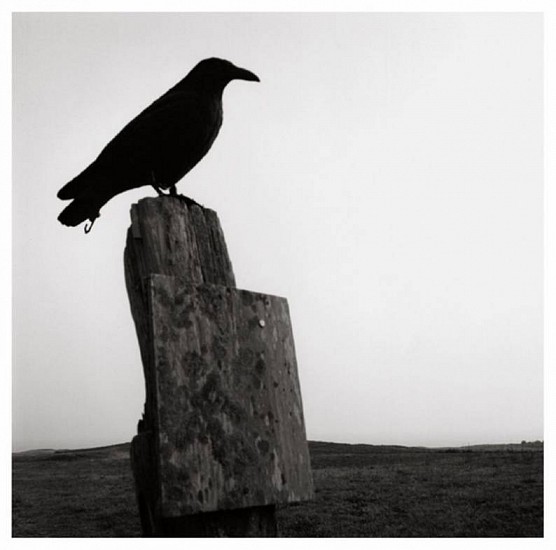 Susan Paulsen
Block Island, (bird sculpture), 2003
Gelatin silver print (black & white)
8 3/4 x 8 3/4 in. (22.2 x 22.2 cm)
Made 2005 by the photographer