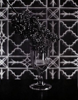 McDermott and McGough - Experiment of Coloring in green some Lilacs with Ammoniacal Ether