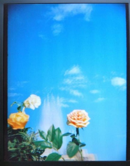 Marina Rosenfeld
Untitled (The Garden), 1997-98
Chromogenic print (color)
20 x 16 in. (50.8 x 40.6 cm)
Lenticular photograph #1 of 3