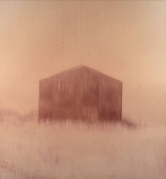 Michal Rovner - Untitled No. 8 from Outside Series