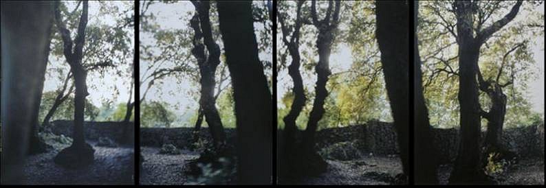 JoAnn Verburg
Four Times Three, 2007
Chromogenic print (color)
39 3/8 x 110 in. (100 x 279.4 cm)
From an edition of 10Four prints mounted to plexiglassEach print is 39 3/8" x 27 1/2"