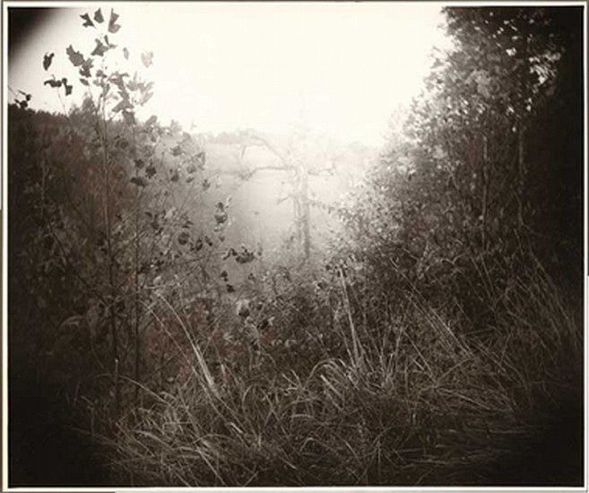 Sally Mann
Untitled (from the portfolio America: Now + Here), 2009
Digital C-print
19 5/8 x 23 5/8 in. (61 x 50.8 cm)
Edition 32/100 + 10HCs