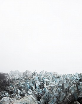 Caleb Cain Marcus - Fox, Plate IV (New Zealand)