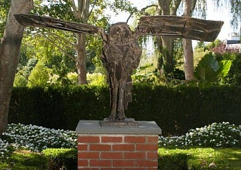 César - Hibou Aile