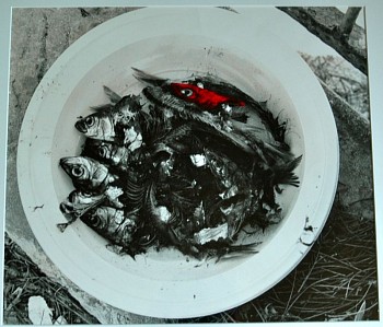 Jill Mathis - Red Herring