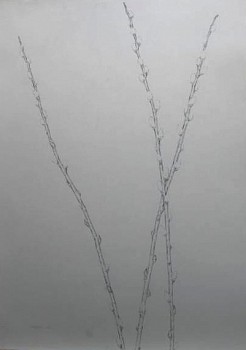 Martin Kline - 3 Willows