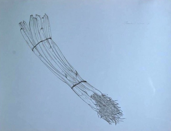 Martin Kline
Sepia Scallions, 1990
12 3/16 x 16 1/8 in. (31 x 41 cm)
Pen nib and ink on paper