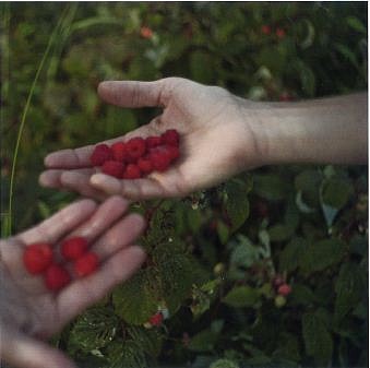 Susan Paulsen - Katonah