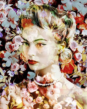 Valérie Belin - Daylily "Bleu Celeste"