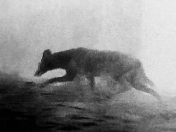 Michal Rovner - Night - 5