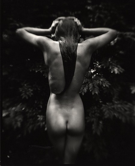 Sally Mann
Punctus, 1992; printed c. 1992
Gelatin silver print (black & white)
22 5/8 x 19 in. (57.5 x 48.3 cm)
Edition 11/25 Printed by the photographer or under the photographer’s supervision from the original negative
