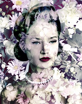 Valérie Belin - Painted Daisy (Carmine Blush Chrysanths)