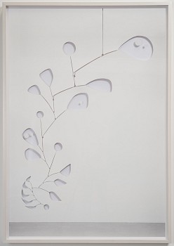 Jose Dávila - Untitled (Black Widow)