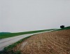 Thomas Struth, Mais-Acker, No. 22, Winterthur
1992, Chromogenic print (color)