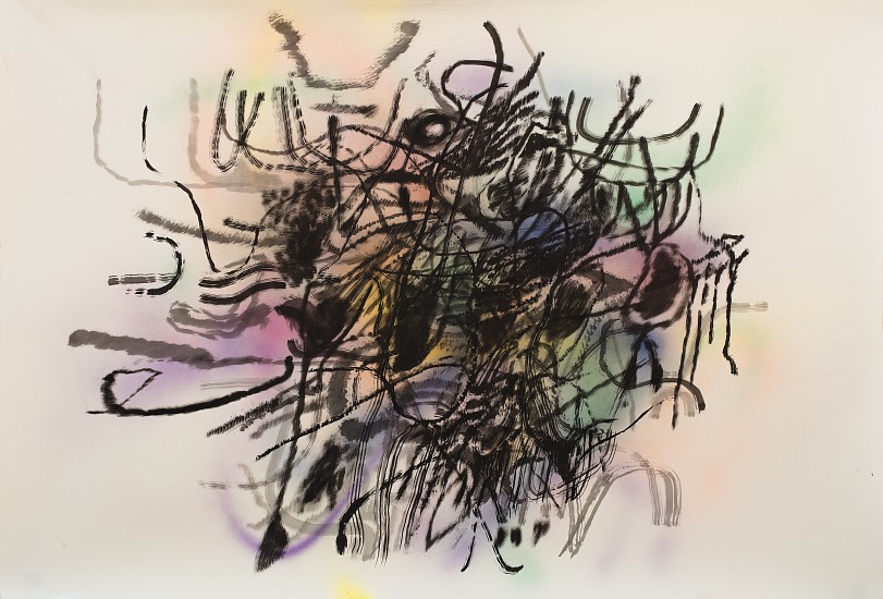 Julie Mehretu
not yet titled JM D-11.20, 2020
Ink and acrylic on paper
27 1/4 x 40 in. (69.2 x 101.6 cm)