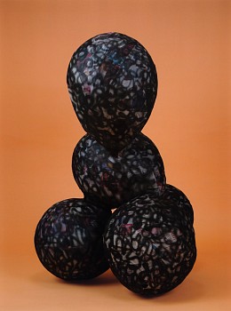 Nicolas Lobo - Balloon Collage (Palsy Version #6)